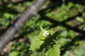Enlarge photo 560