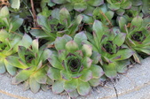 Enlarge photo 561