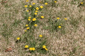 Enlarge photo 567