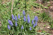 Enlarge photo 568