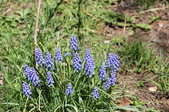 Enlarge photo 569