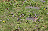 Enlarge photo 570