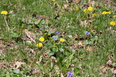 Enlarge photo 573