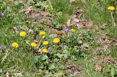 Enlarge photo 574