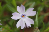 Enlarge photo 580