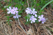 Enlarge photo 582