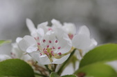 Enlarge photo 596