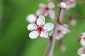 Enlarge photo 603