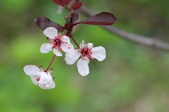 Enlarge photo 607