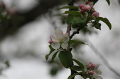 Enlarge photo 613