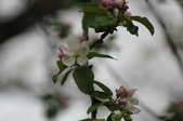 Enlarge photo 614