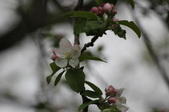 Enlarge photo 615