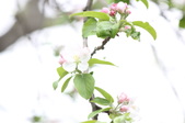 Enlarge photo 616
