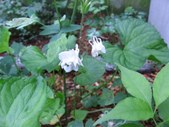 Enlarge photo 37