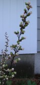 Enlarge photo 38