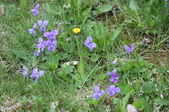 Enlarge photo 624