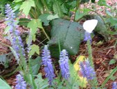 Enlarge photo 40