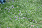 Enlarge photo 630