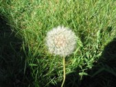 Enlarge photo 53