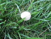 Enlarge photo 54