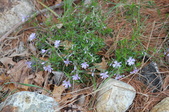 Enlarge photo 636