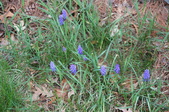 Enlarge photo 639