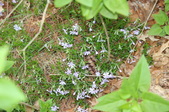 Enlarge photo 640