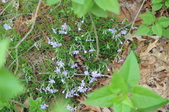 Enlarge photo 641