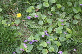 Enlarge photo 648