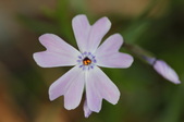 Enlarge photo 649