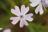 Enlarge photo 651