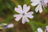 Enlarge photo 652