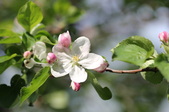 Enlarge photo 671