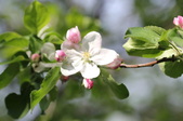 Enlarge photo 672