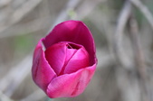 Enlarge photo 674