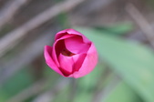 Enlarge photo 675