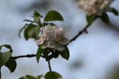 Enlarge photo 678