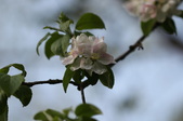 Enlarge photo 679
