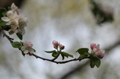 Enlarge photo 681