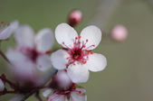 Enlarge photo 688