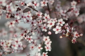 Enlarge photo 689