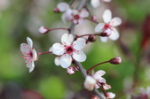 Enlarge photo 694
