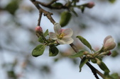 Enlarge photo 697