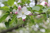 Enlarge photo 703