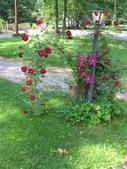 Enlarge photo 57