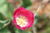 Enlarge photo 717