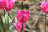 Enlarge photo 718