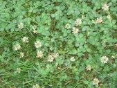 Enlarge photo 69