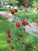 Enlarge photo 71
