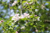 Enlarge photo 723